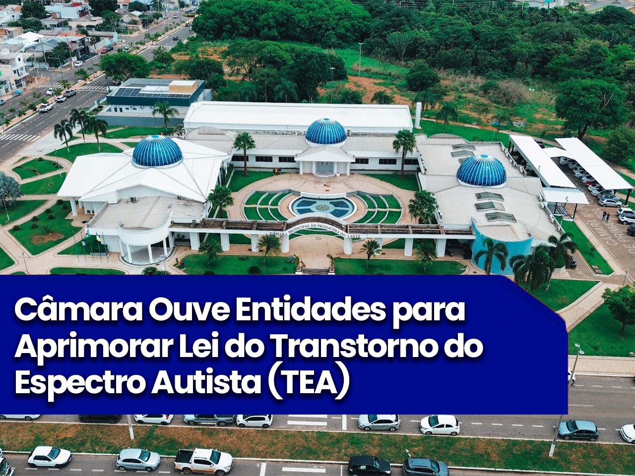 Câmara Ouve Entidades para Aprimorar Lei do Transtorno do Espectro Autista (TEA)