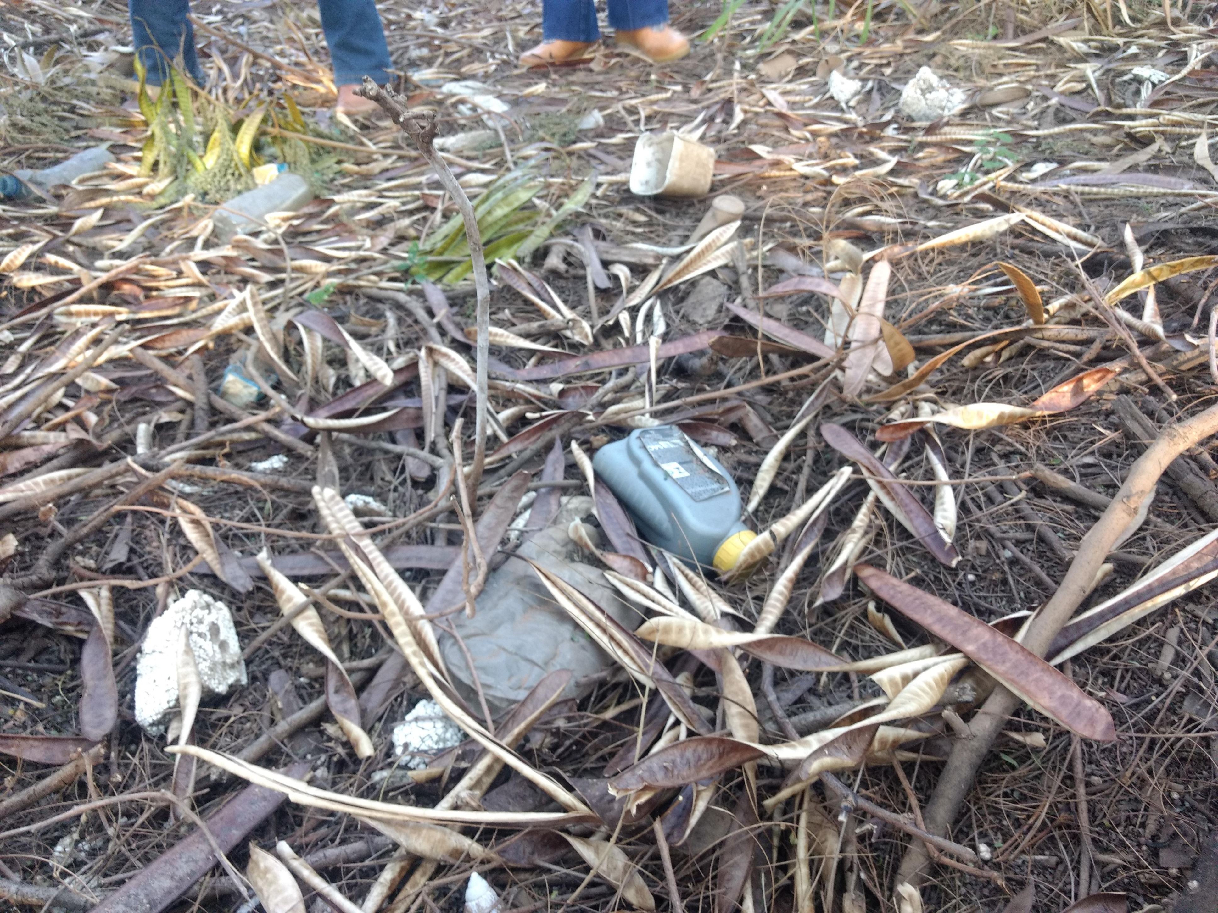 Ação de limpeza da nascente afluente do Córrego Traíra.jpg