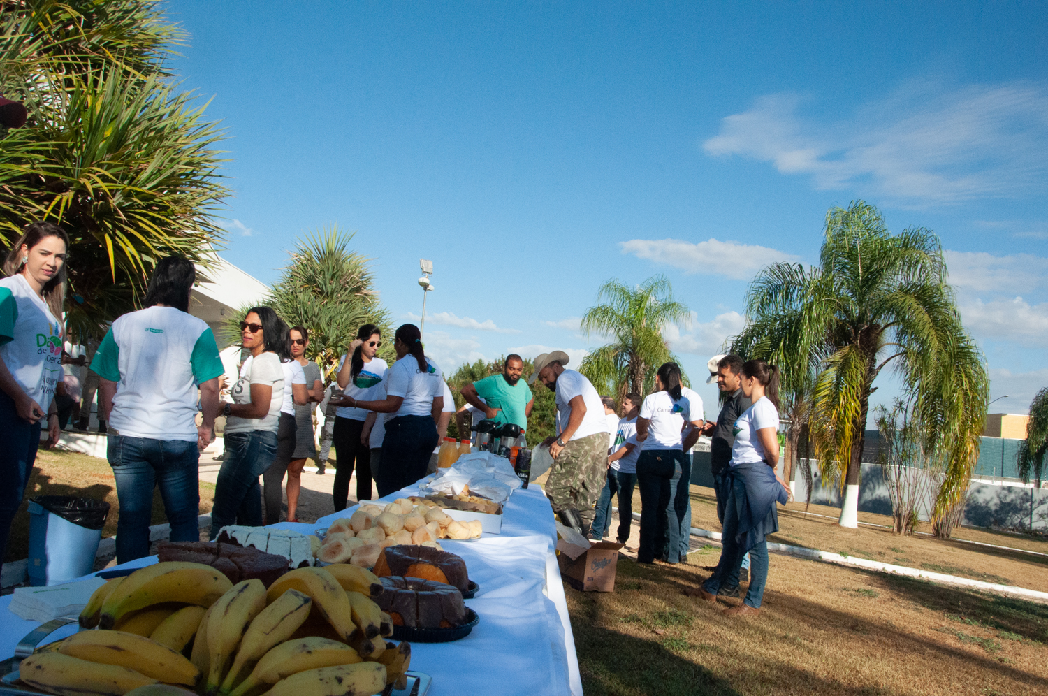 Ação de limpeza da nascente afluente do Córrego Traíra