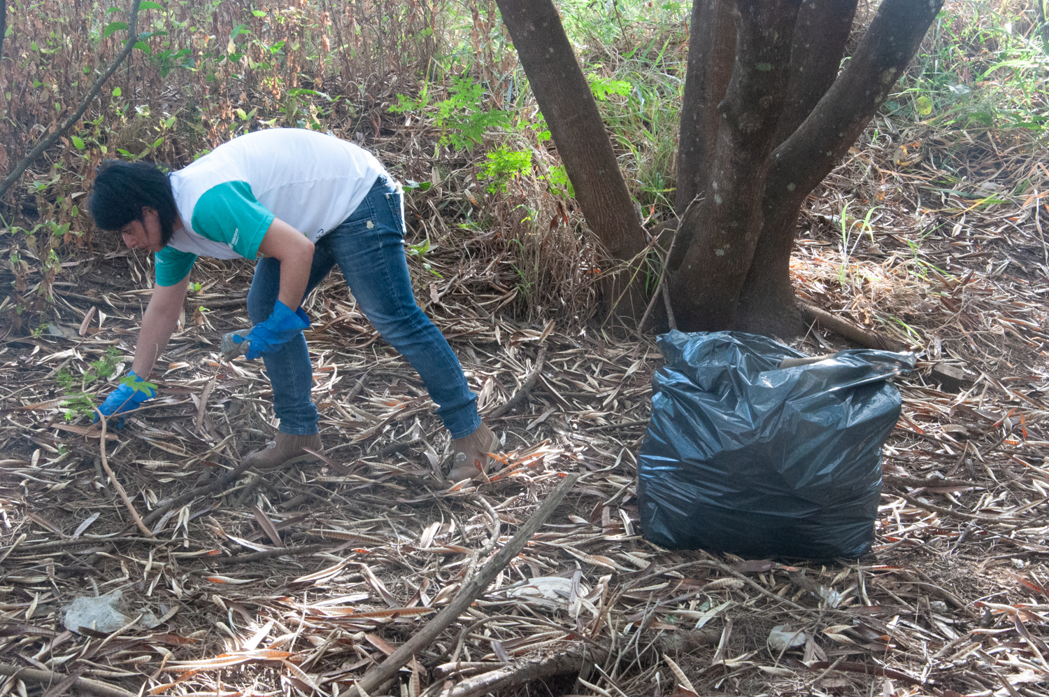 Ação de limpeza da nascente afluente do Córrego Traíra