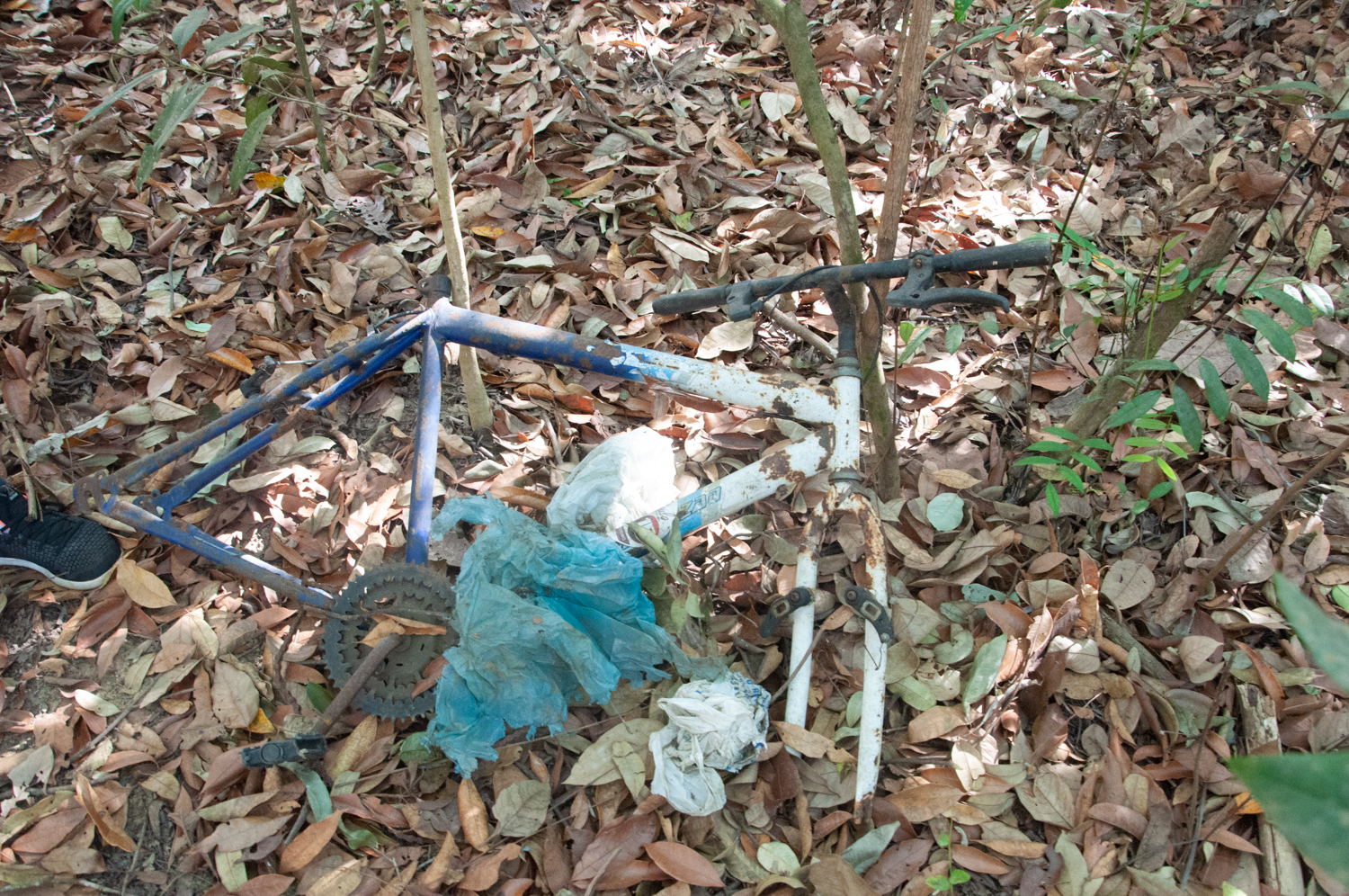 Ação de limpeza da nascente afluente do Córrego Traíra
