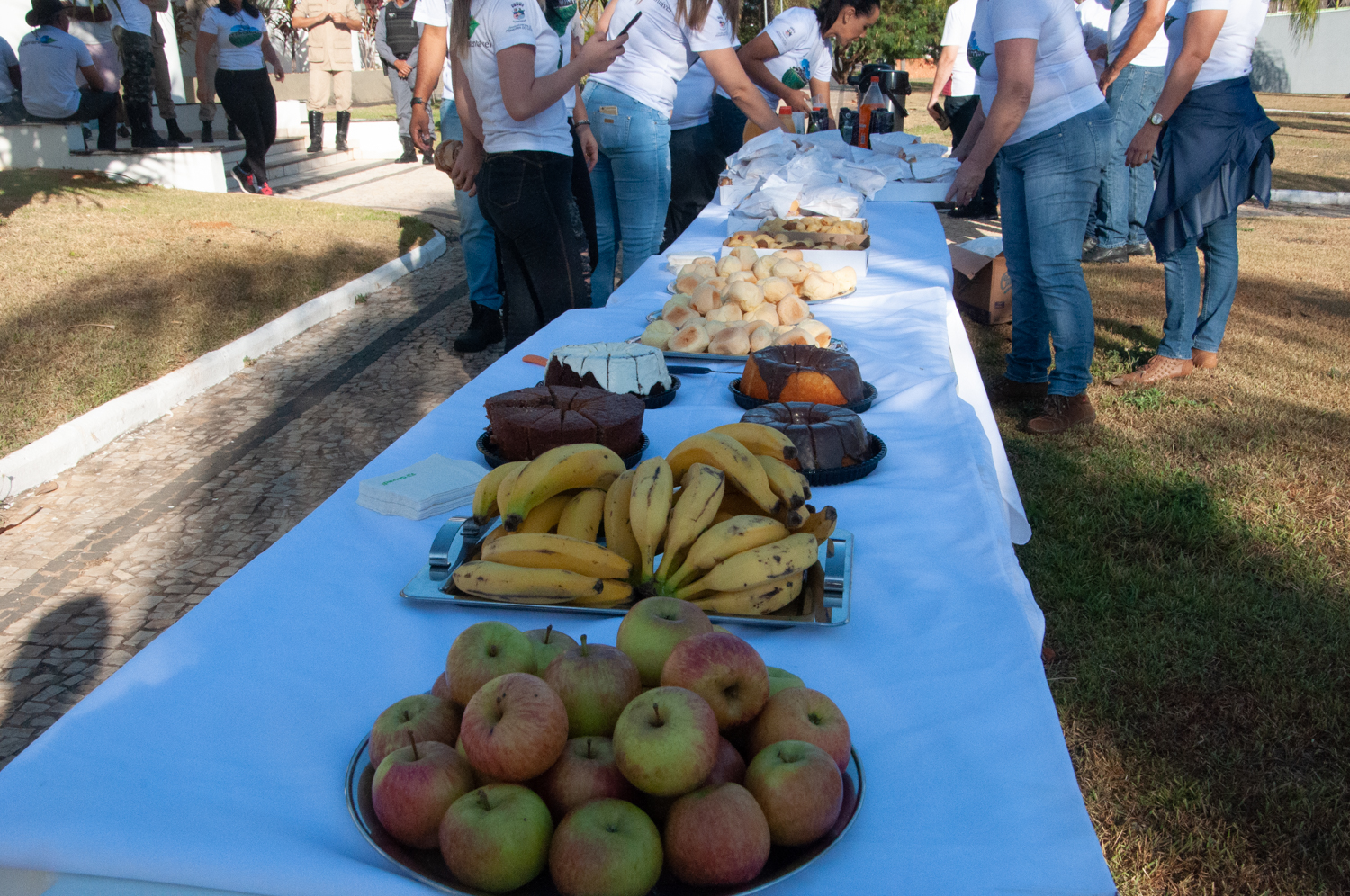 Ação de limpeza da nascente afluente do Córrego Traíra