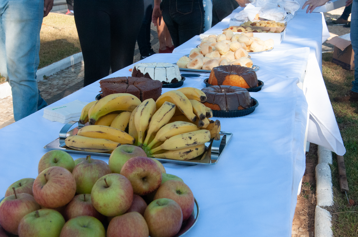 Ação de limpeza da nascente afluente do Córrego Traíra