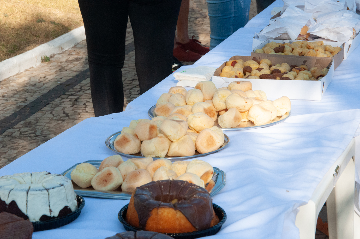 Ação de limpeza da nascente afluente do Córrego Traíra