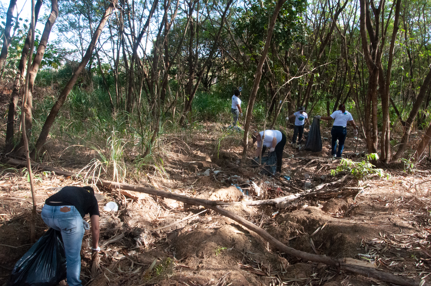 Ação de limpeza da nascente afluente do Córrego Traíra