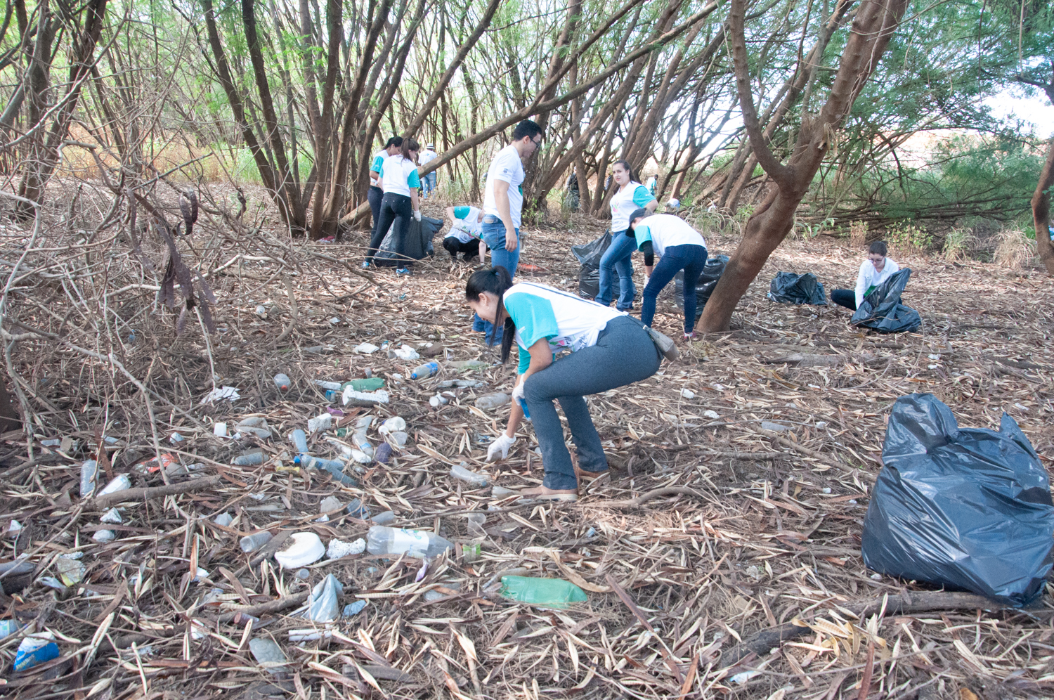 Ação de limpeza da nascente afluente do Córrego Traíra