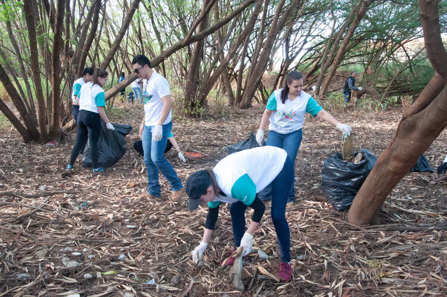 Ação de limpeza da nascente afluente do Córrego Traíra