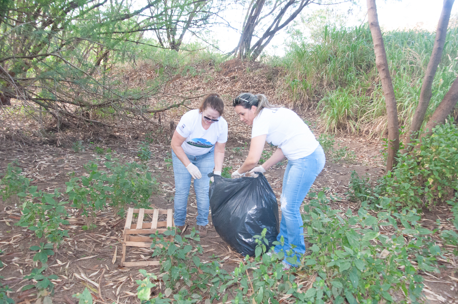 Ação de limpeza da nascente afluente do Córrego Traíra