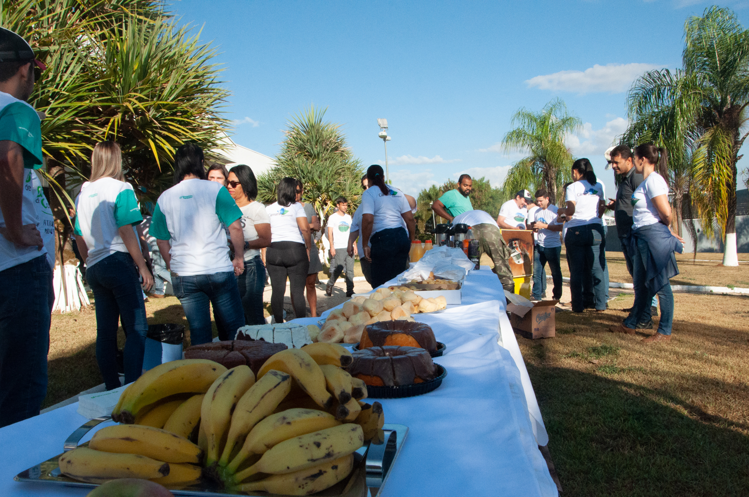 Ação de limpeza da nascente afluente do Córrego Traíra