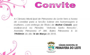 Câmara realiza sessão solene em homenagem às mulheres