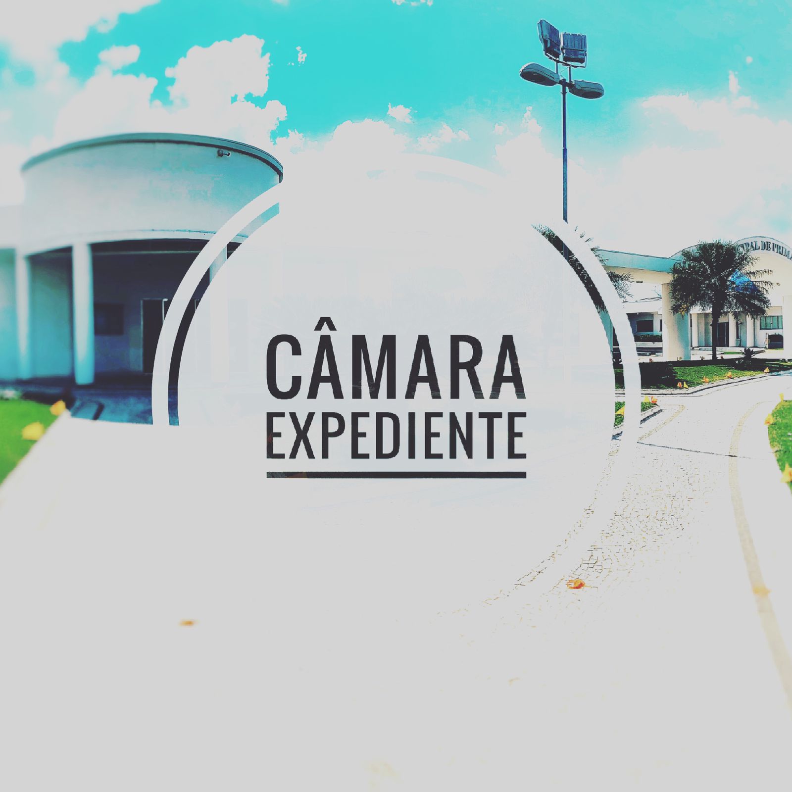 Vereadores analisam Plano Diretor e solicitam zonas de interesse social