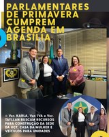 PARLAMENTARES DE PRIMAVERA CUMPREM AGENDA EM BRASÍLIA   