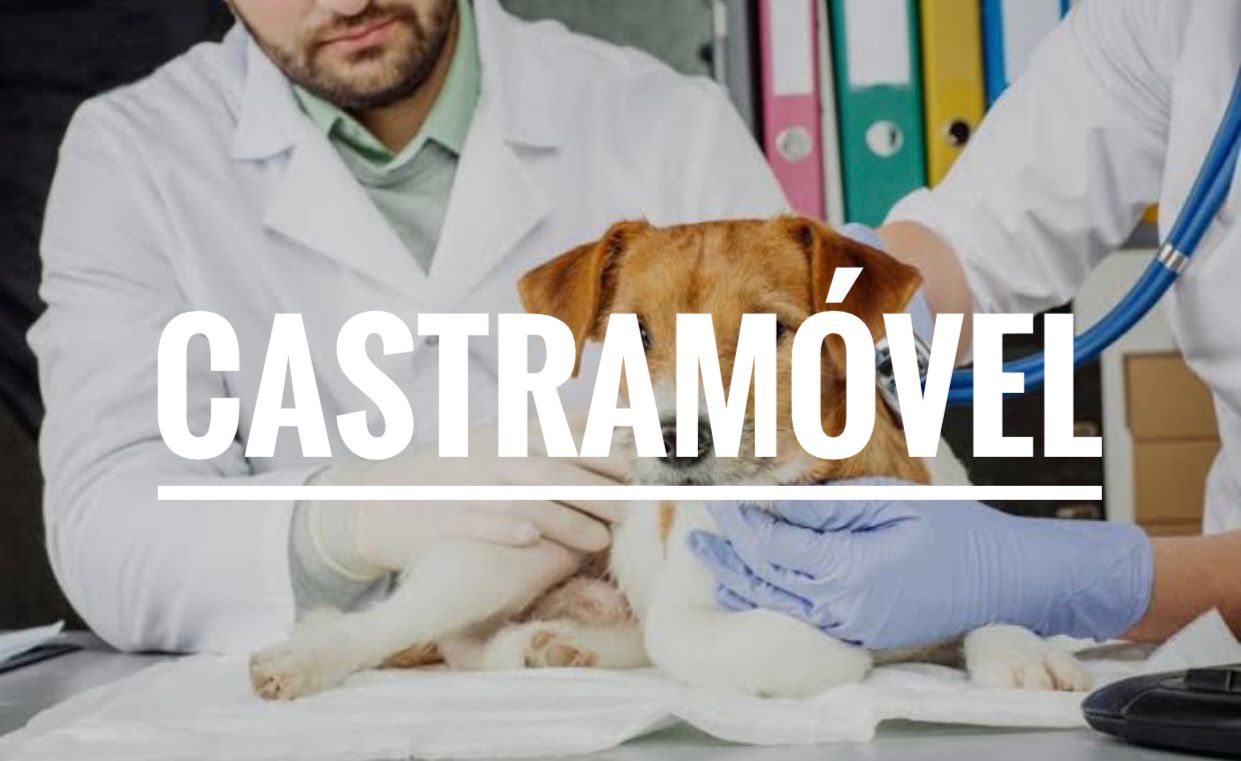 Projeto CastraMóvel tramita na Casa e recebe apoio de todos Vereadores   