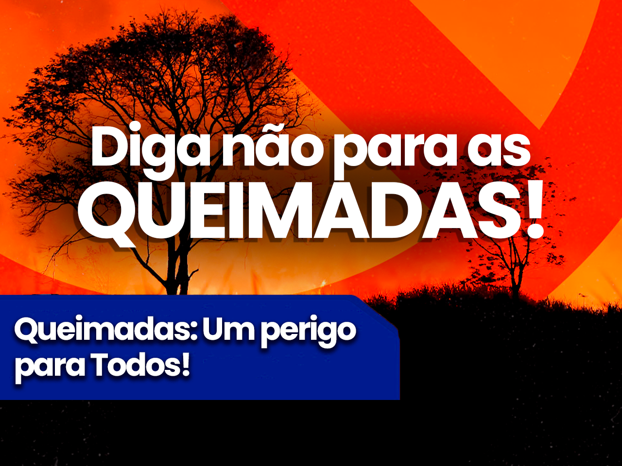 Queimadas: um perigo para todos