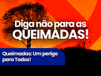 Queimadas: um perigo para todos